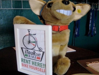  rent your bike 
